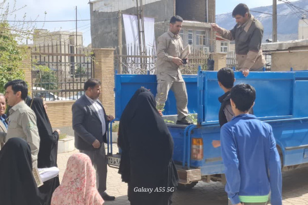 پویش کاشت نهال ویژه سفیران قرآنی نهضت زندگی با آیه ها در شهرستان بدره